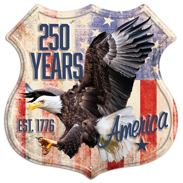 DC85100 - AMERICA 250 YEARS SHIELD