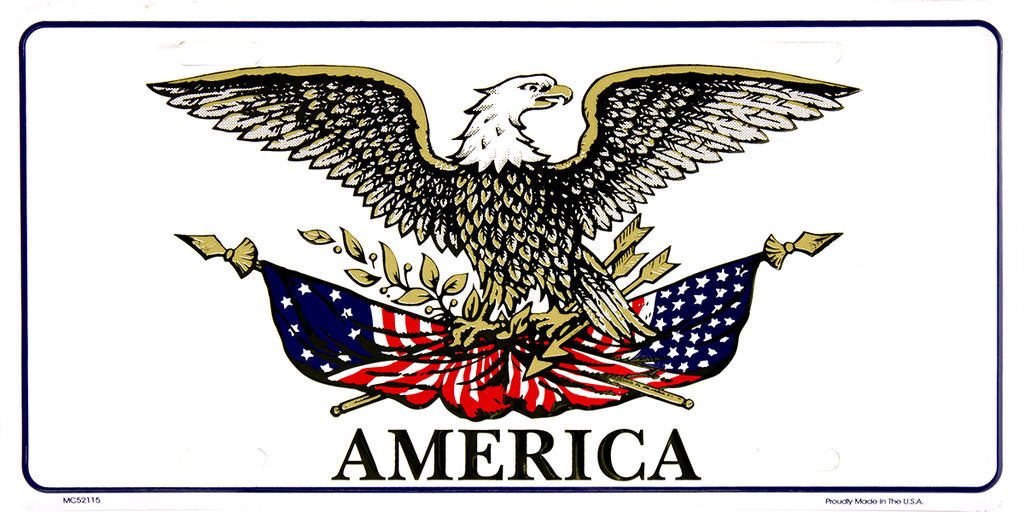 MC52115 - Eagle Holding American Flag