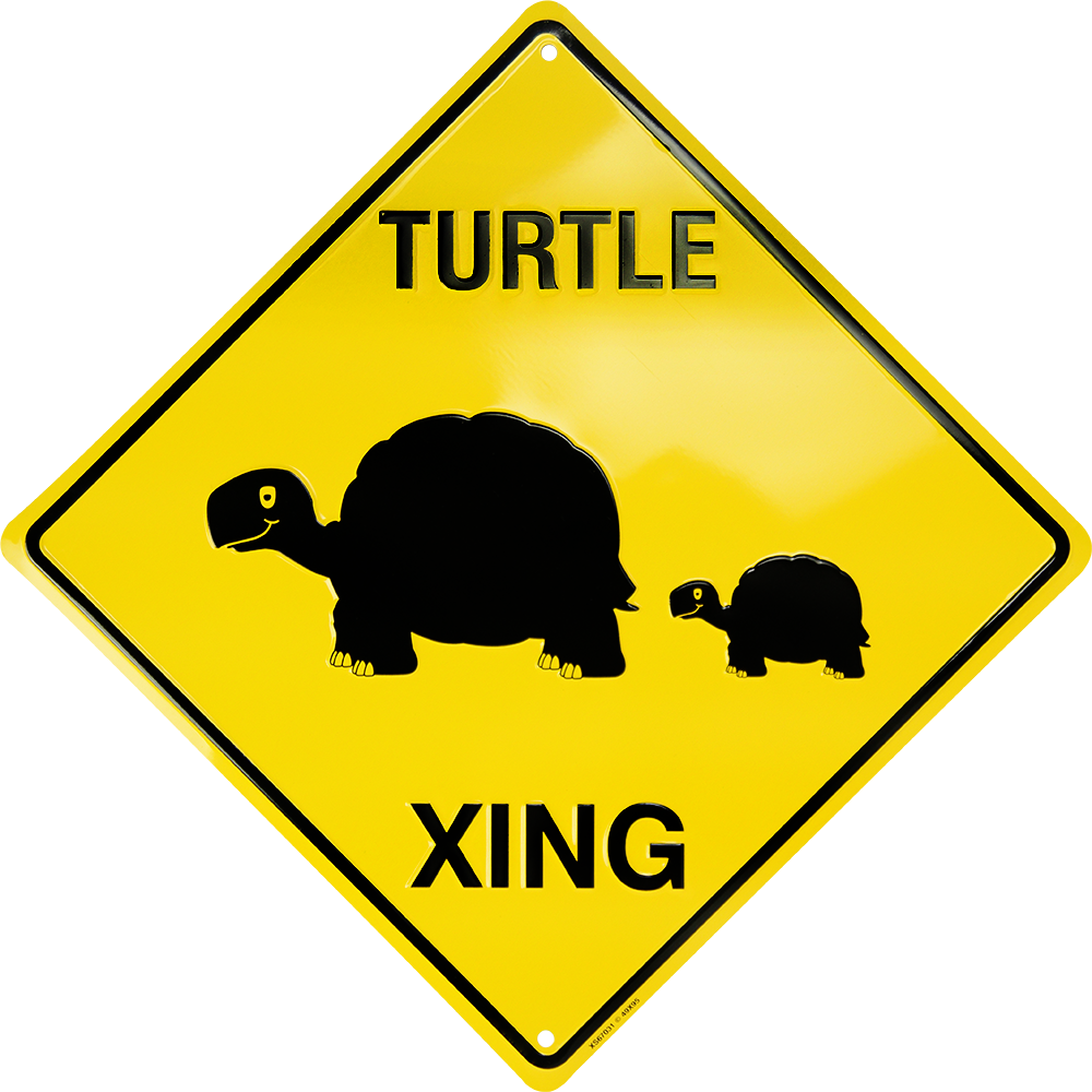 XS67031 - Turtle Xing